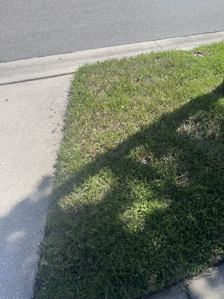 Professional lawn care service for year-round maintenance across Chuluota, FL - Community Lawn & Pest Control