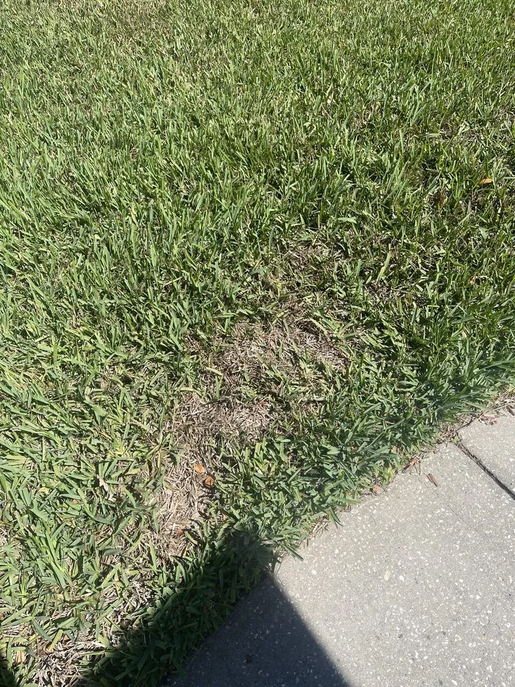 Trusted lawn mowing service for beautiful yards across Chuluota, FL - Community Lawn & Pest Control