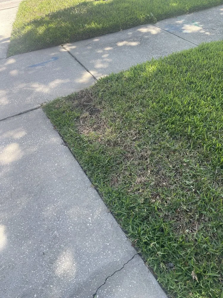 Custom landscape installation for residential properties across Chuluota, FL - Community Lawn & Pest Control