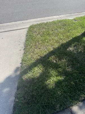 Community Lawn & Pest Control