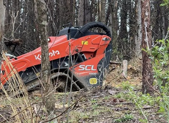 Community Lawn and Landscape