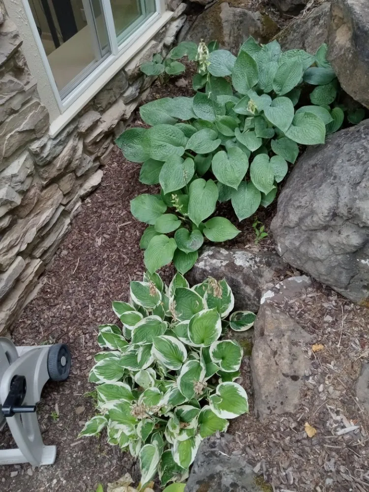 Reliable garden landscaping experts serving Nampa, ID - Community Lawn Care