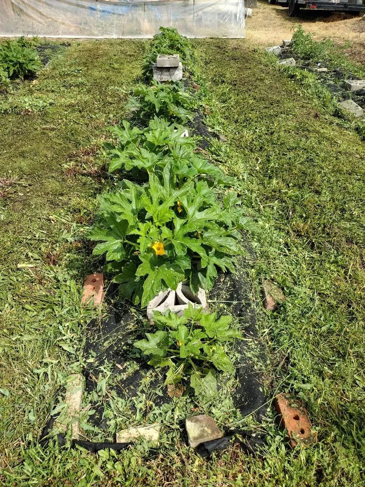 Top-rated garden landscaping in Nampa, ID - Community Lawn Care