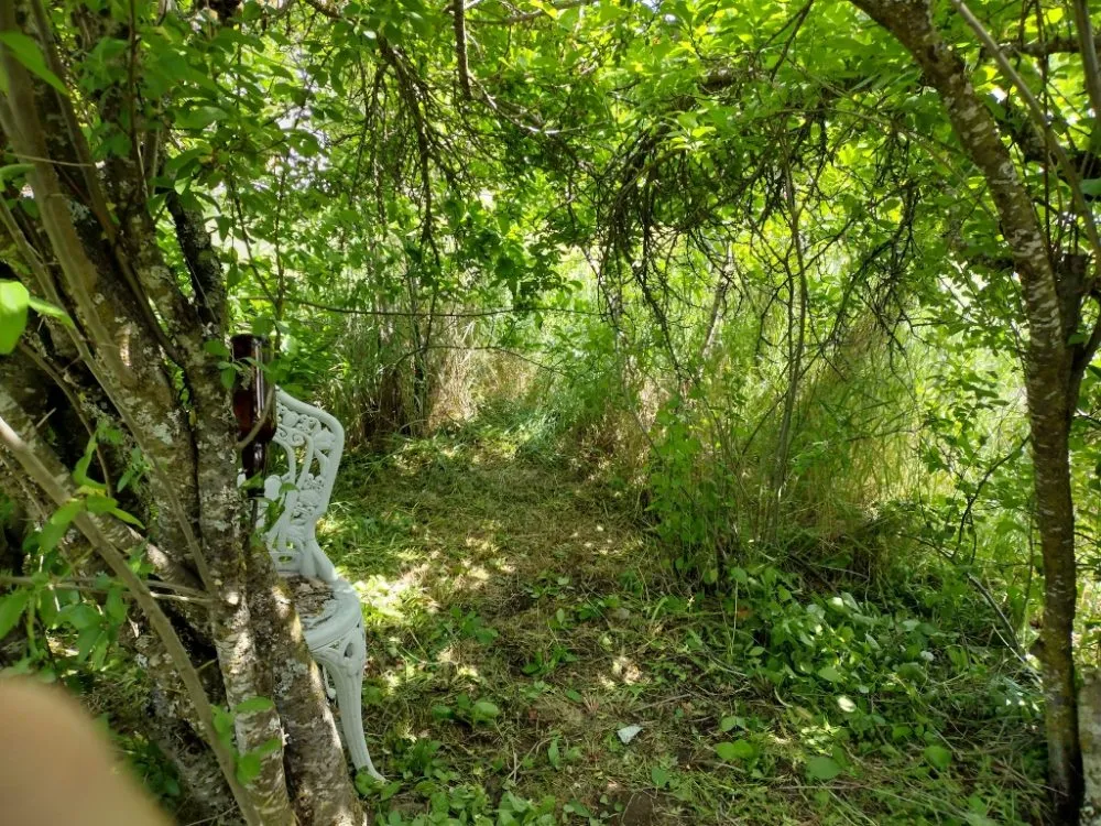 Reliable lawn mowing service near you across Nampa, ID - Community Lawn Care