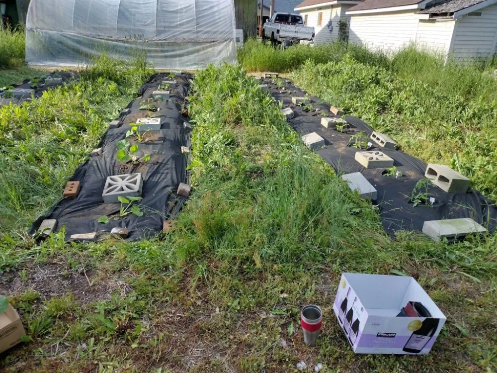 Top-rated landscape installation in Nampa, ID by Community Lawn Care