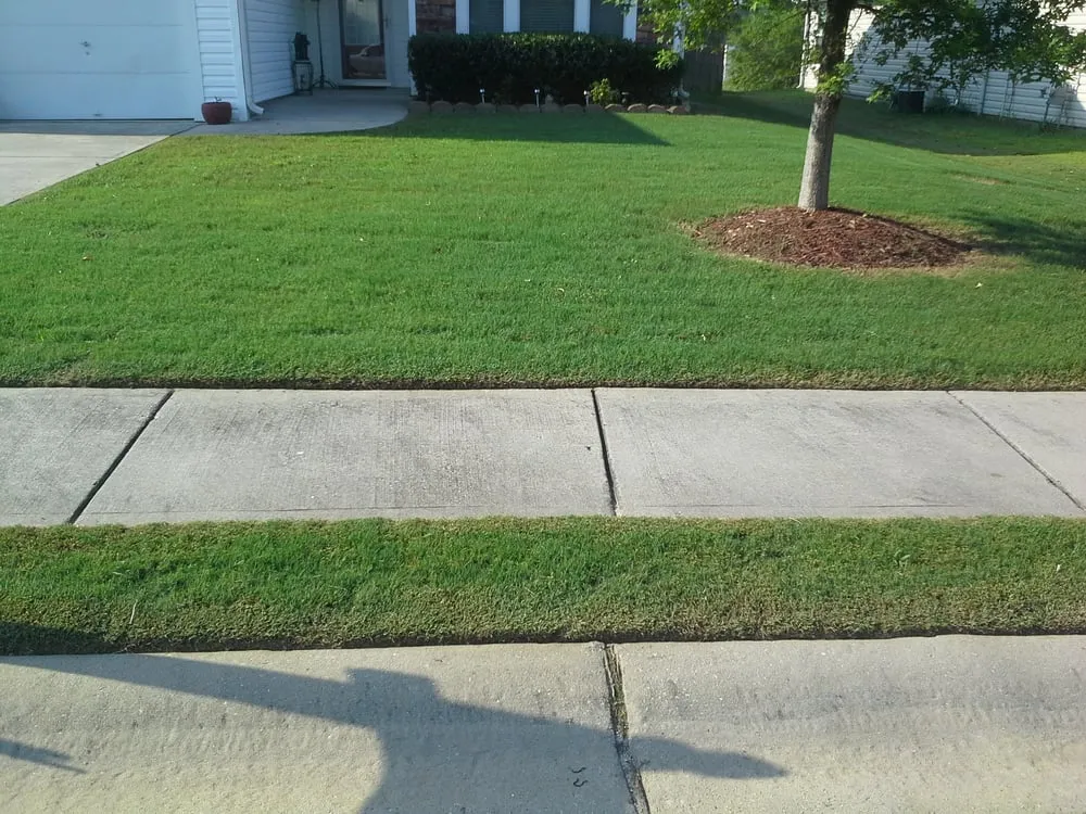 Trusted lawn care service for year-round maintenance in Fairburn, GA by Community Lawncare Services Inc