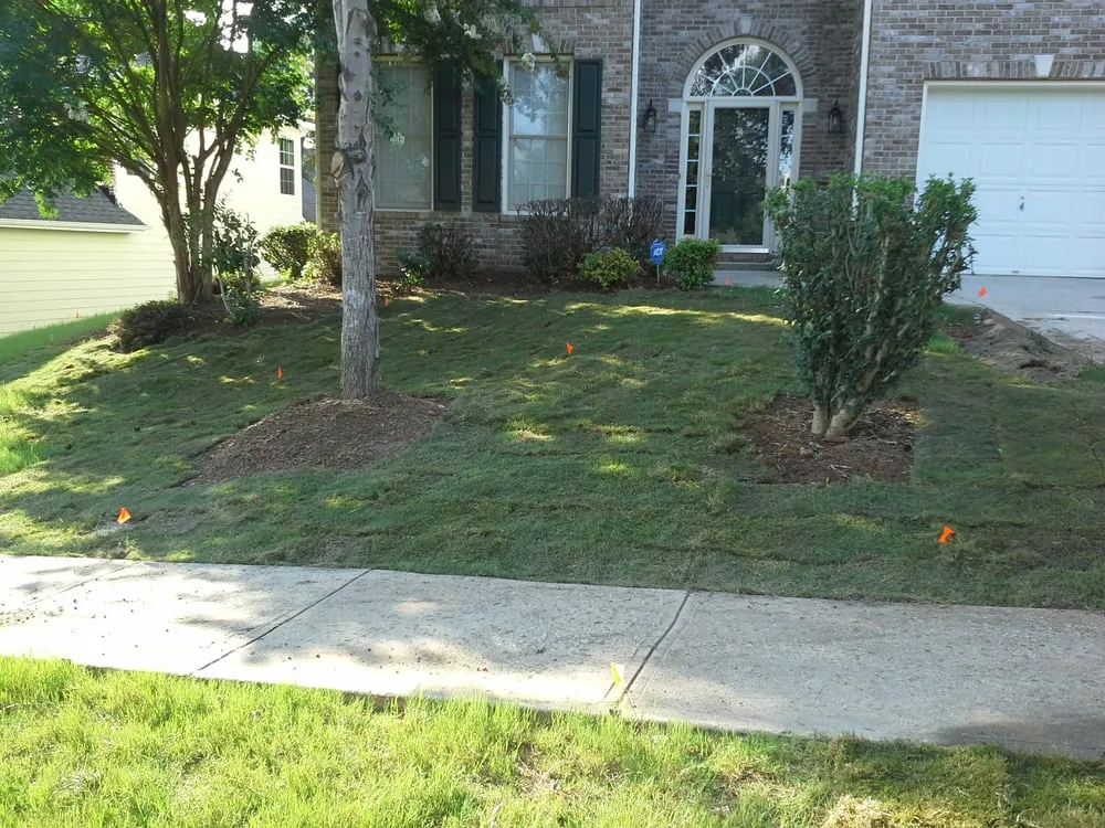 Expert yard cleanup service experts serving Fairburn, GA - Community Lawncare Services Inc