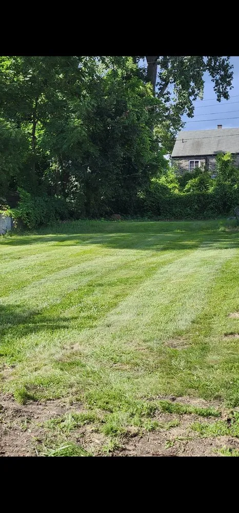 Professional outdoor landscaping in Pontiac, MI by Community property maintenance