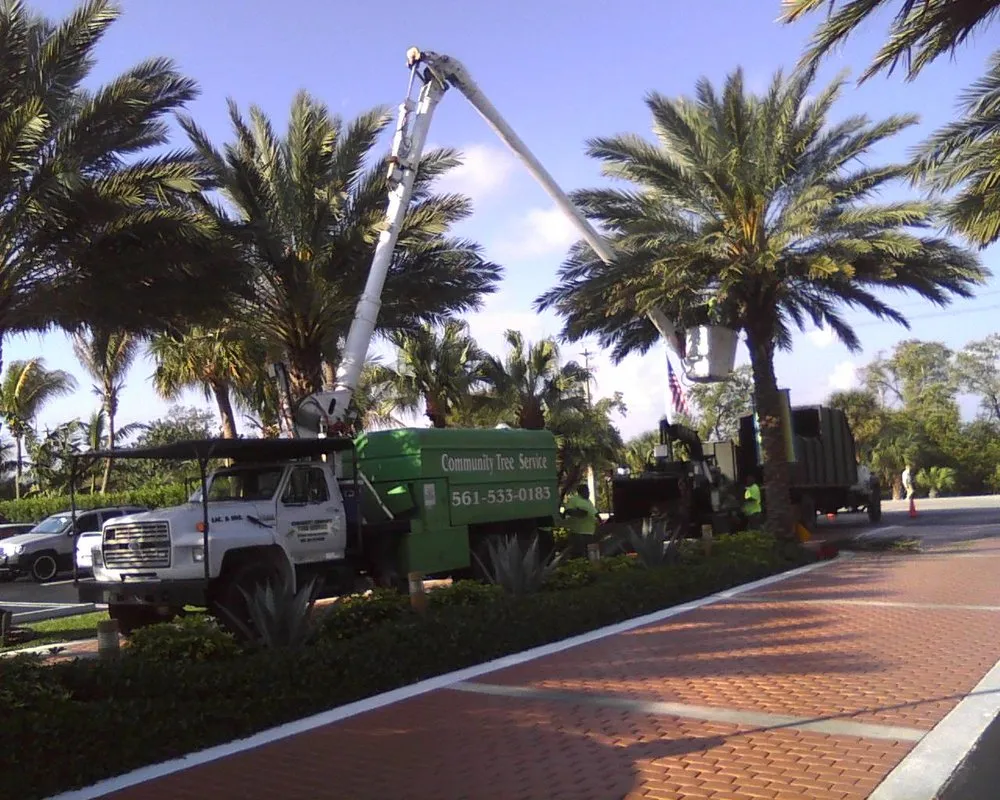 Reliable lawn care service in Port Salerno, FL by Community Tree & Landscape Service