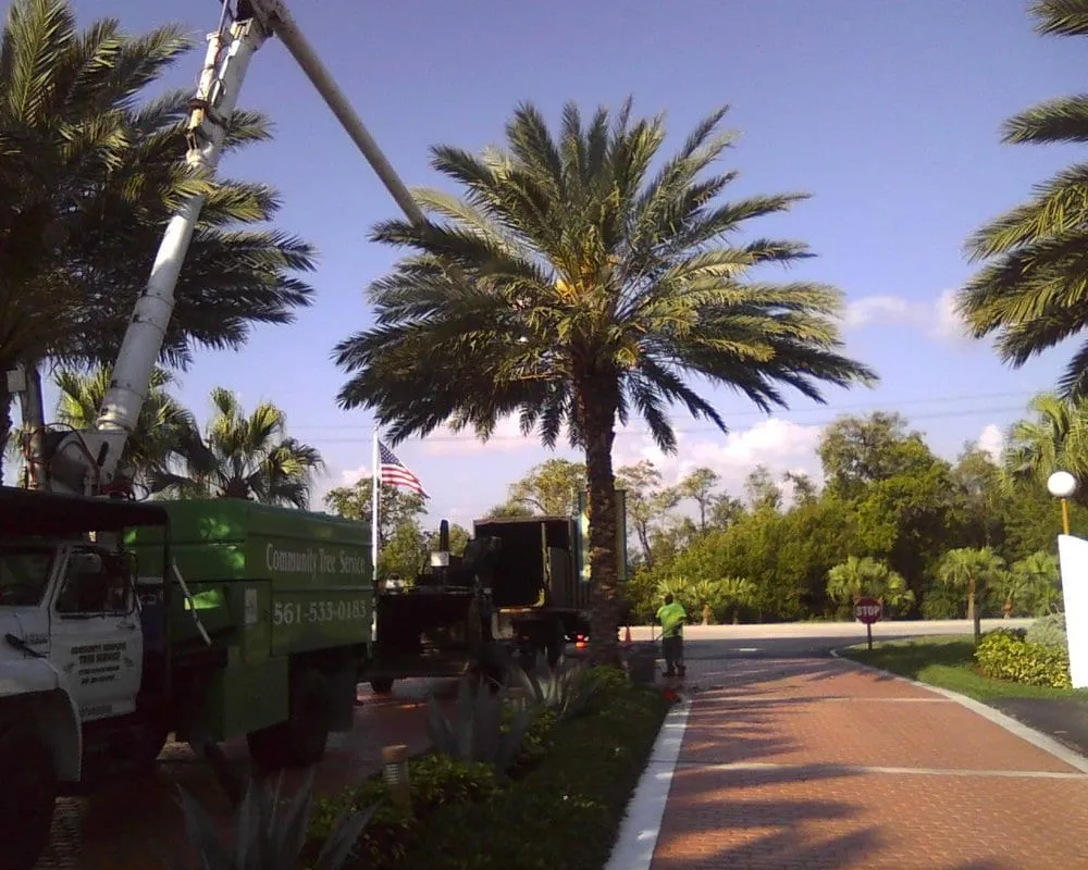 Expert landscape installation in Port Salerno, FL - Community Tree & Landscape Service