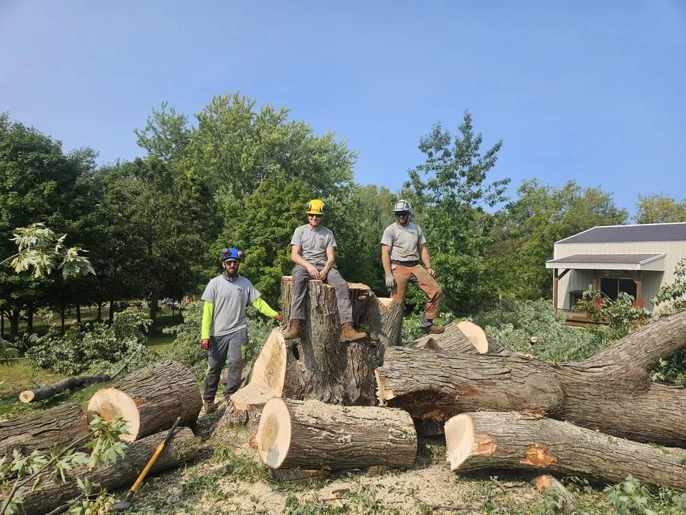 Local outdoor landscaping with custom design in Madison, WI by Community Tree Care