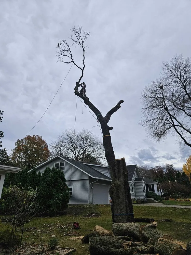 Local landscape installation in Madison, WI - Community Tree Care