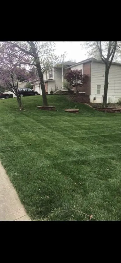 Professional lawn mowing service for outdoor upgrades in Columbia, MO by Como Lawn Care Plus