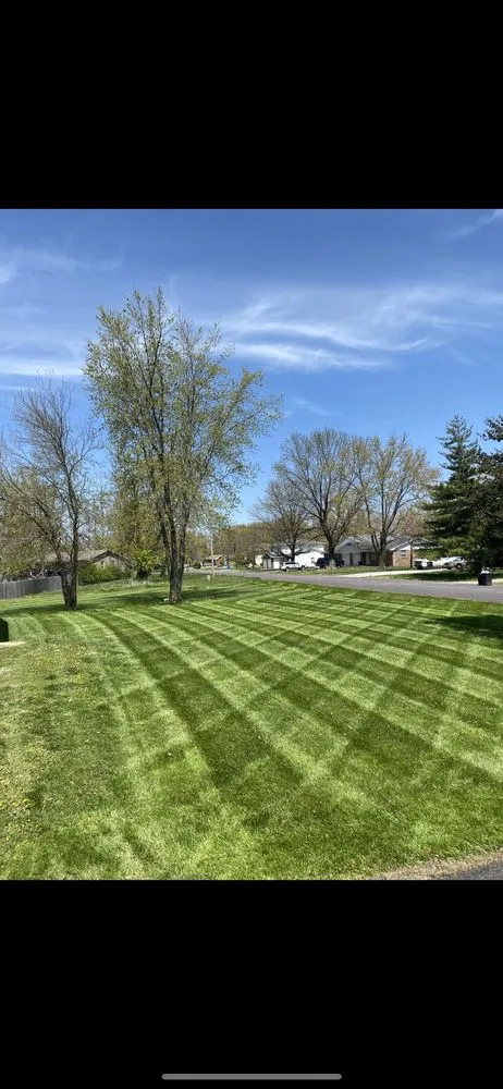 Local yard cleanup service for year-round maintenance across Columbia, MO - Como Lawn Care Plus