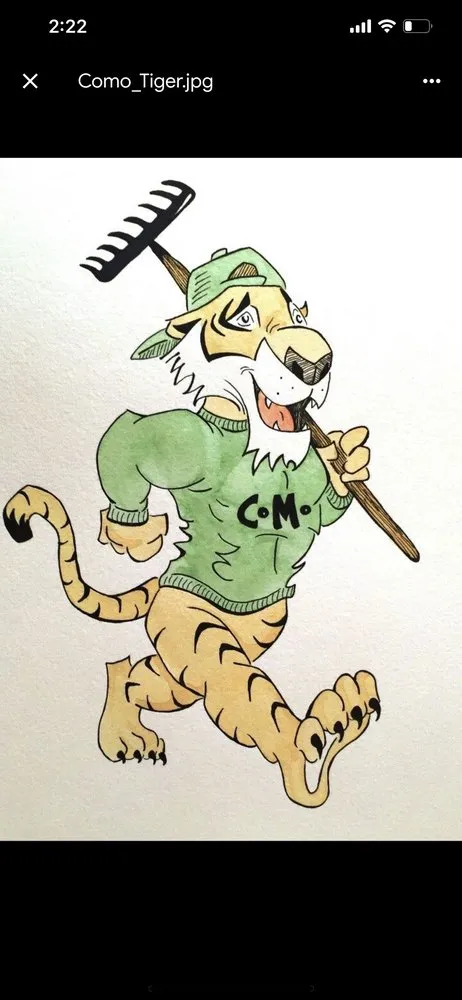 Professional landscape installation experts serving Columbia, MO - Como Lawn Care Plus