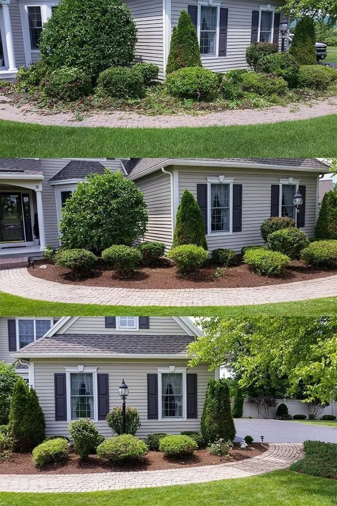 Local yard maintenance in Middle Island, NY - Compadres Landscaping Construction Services Design & Maintenance