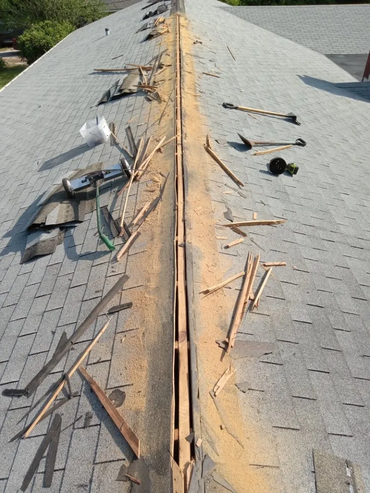 Expert garden landscaping experts serving Wilmington, NC - Compa's Landscaping & More