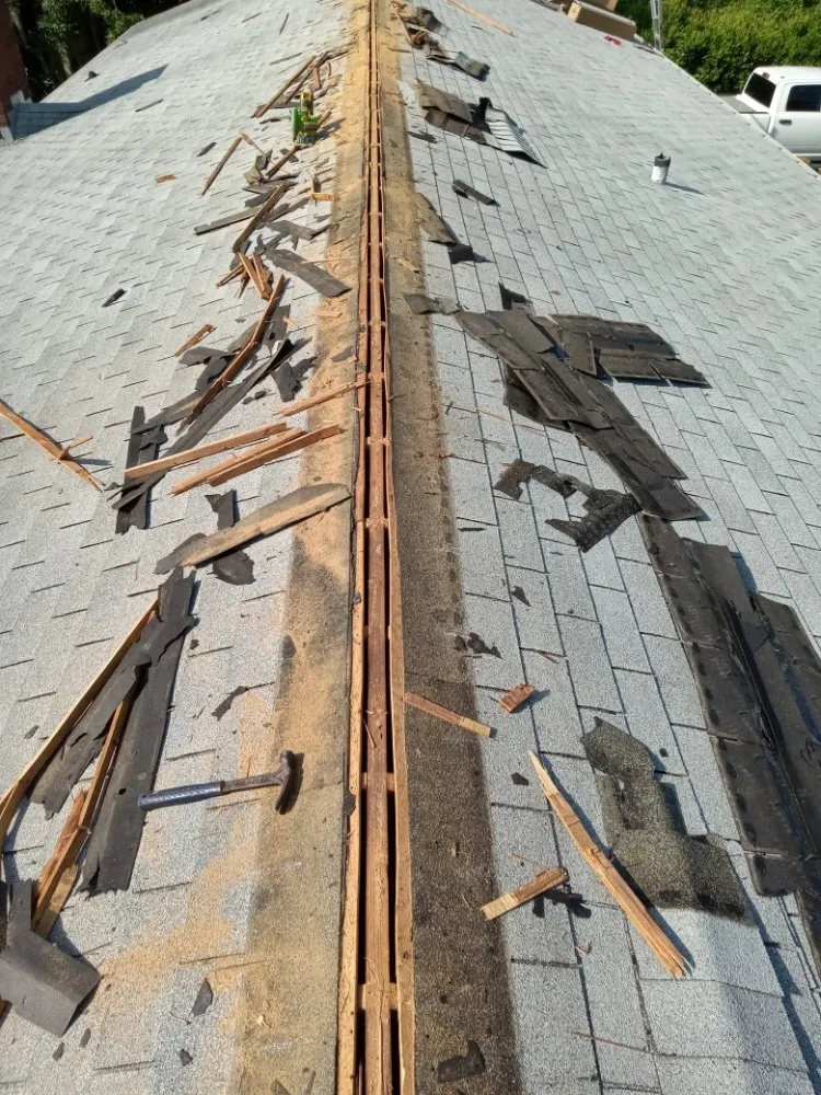 Professional yard cleanup service with custom design across Wilmington, NC - Compa's Landscaping & More