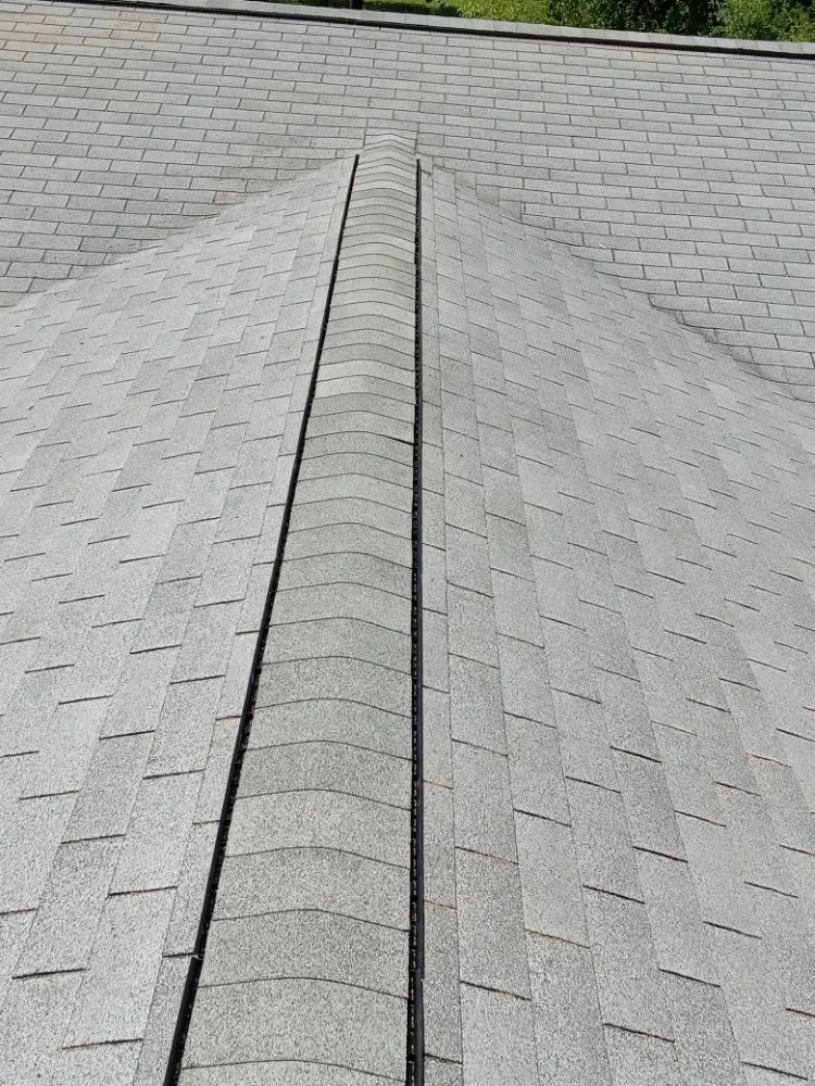 Reliable lawn care service in Wilmington, NC - Compa's Landscaping & More