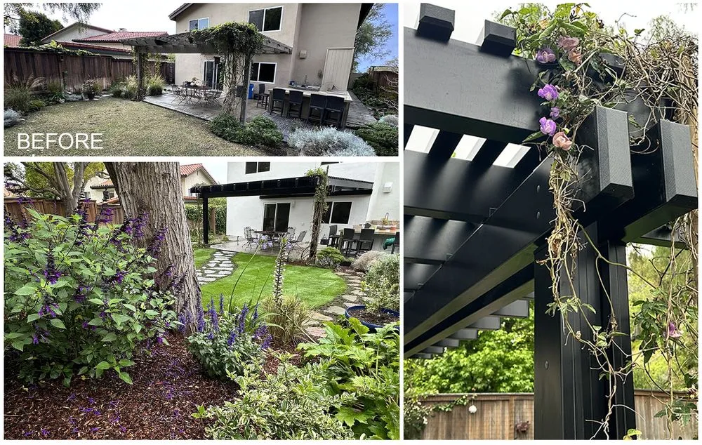 Professional lawn care service for homes in Rolling Hills Estates, CA by Compass Landscape Construction Inc.