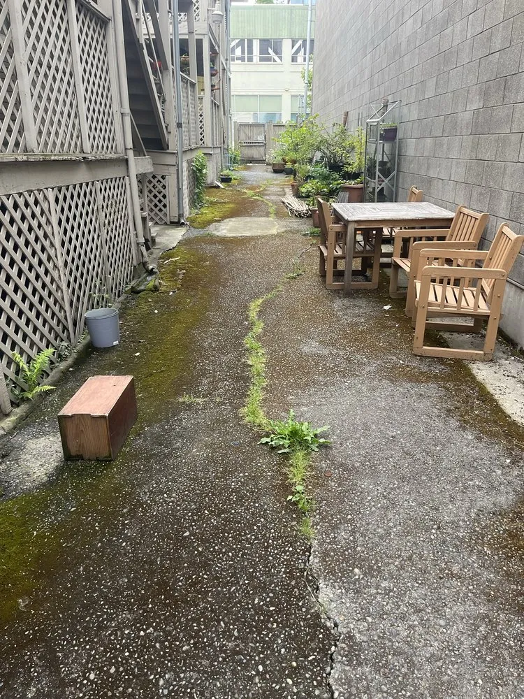 Affordable landscape design experts serving Everett, WA - Compass Landscaping