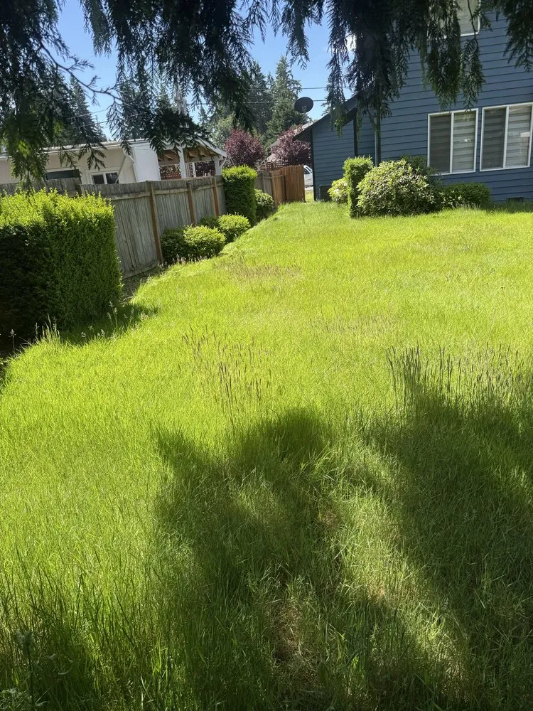 Trusted outdoor landscaping for year-round maintenance in Everett, WA by Compass Landscaping