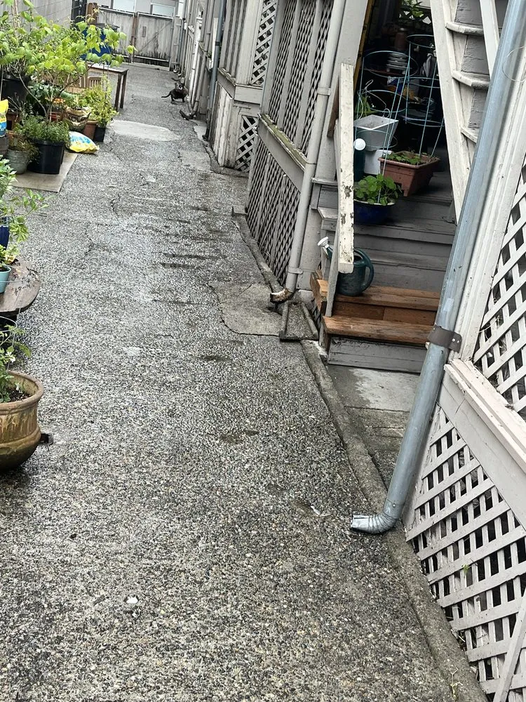 Custom yard maintenance experts serving Everett, WA - Compass Landscaping