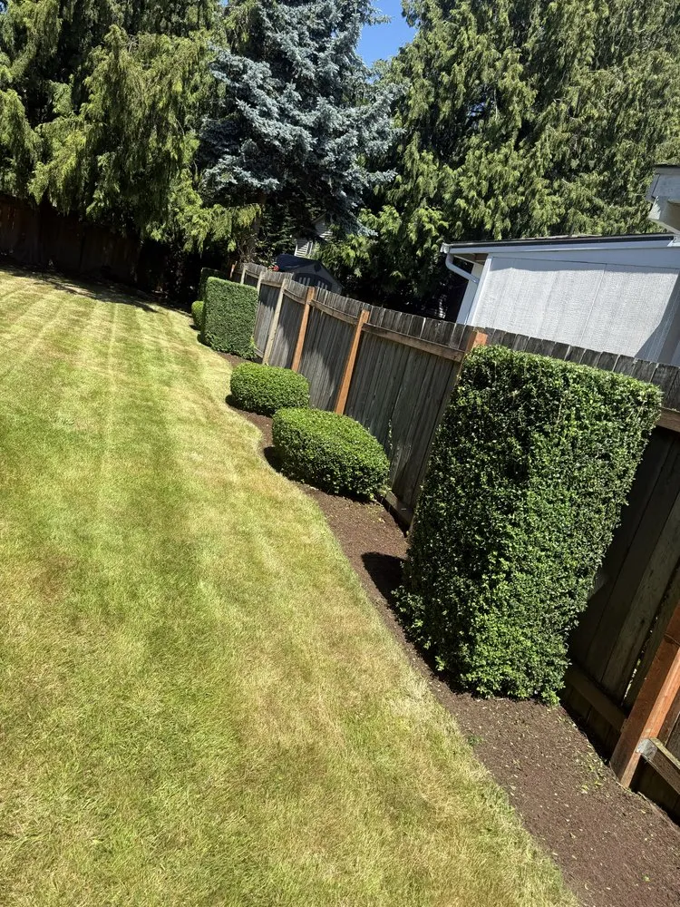 Custom lawn mowing service experts serving Everett, WA - Compass Landscaping
