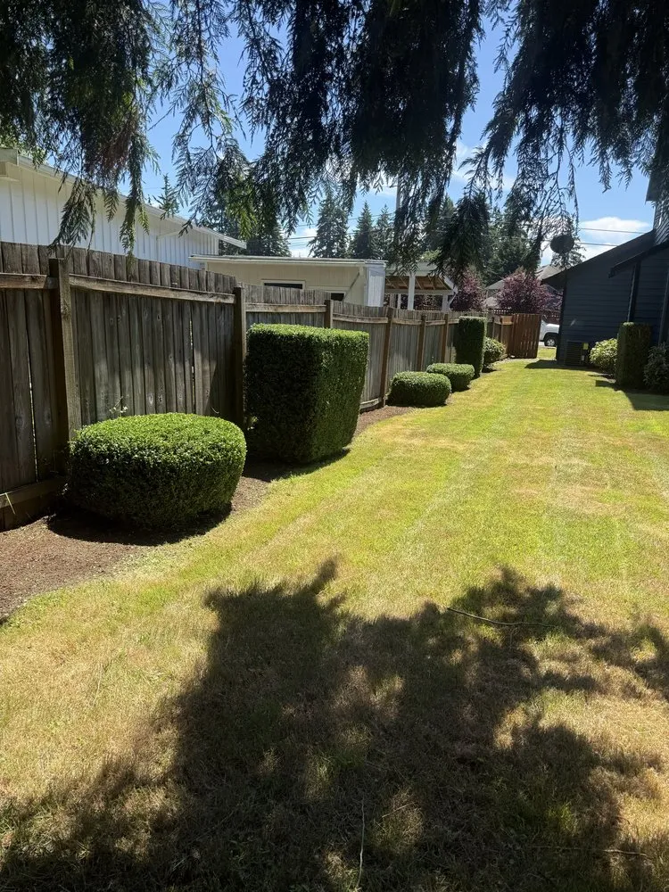 Affordable lawn care service with custom design across Everett, WA - Compass Landscaping