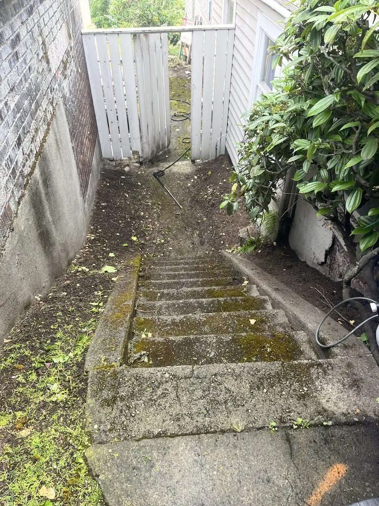 Affordable lawn care service experts serving Everett, WA - Compass Landscaping