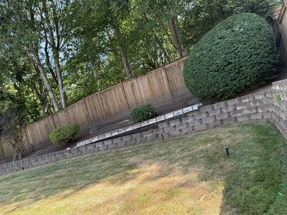 Local garden landscaping for outdoor upgrades in Everett, WA by Compass Landscaping