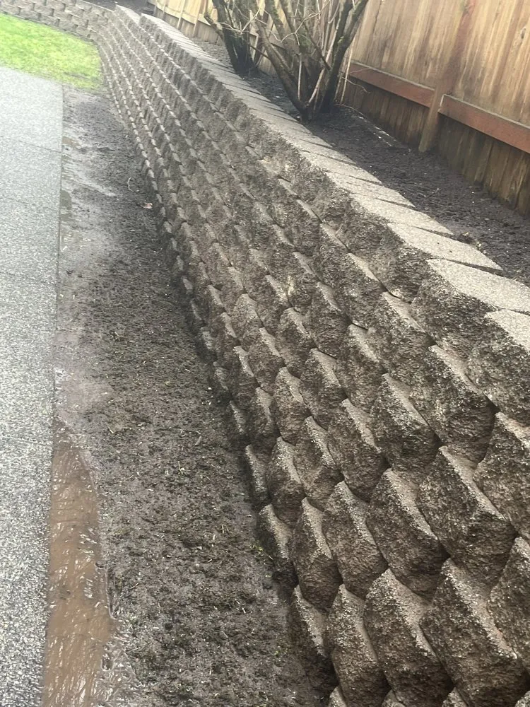 Expert yard cleanup service experts serving Everett, WA - Compass Landscaping