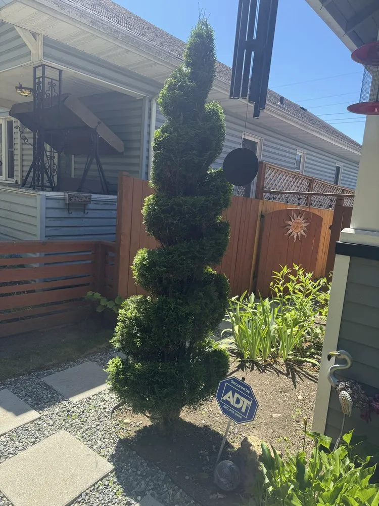 Affordable garden landscaping in Everett, WA - Compass Landscaping