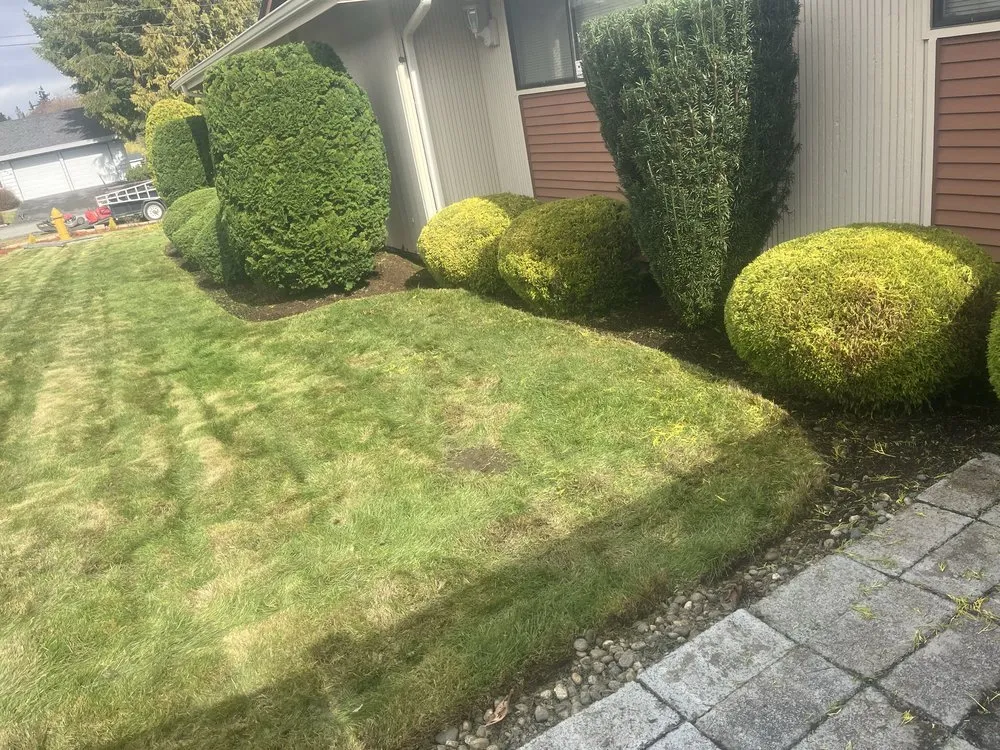 Professional landscaping services for beautiful yards across Everett, WA - Compass Landscaping