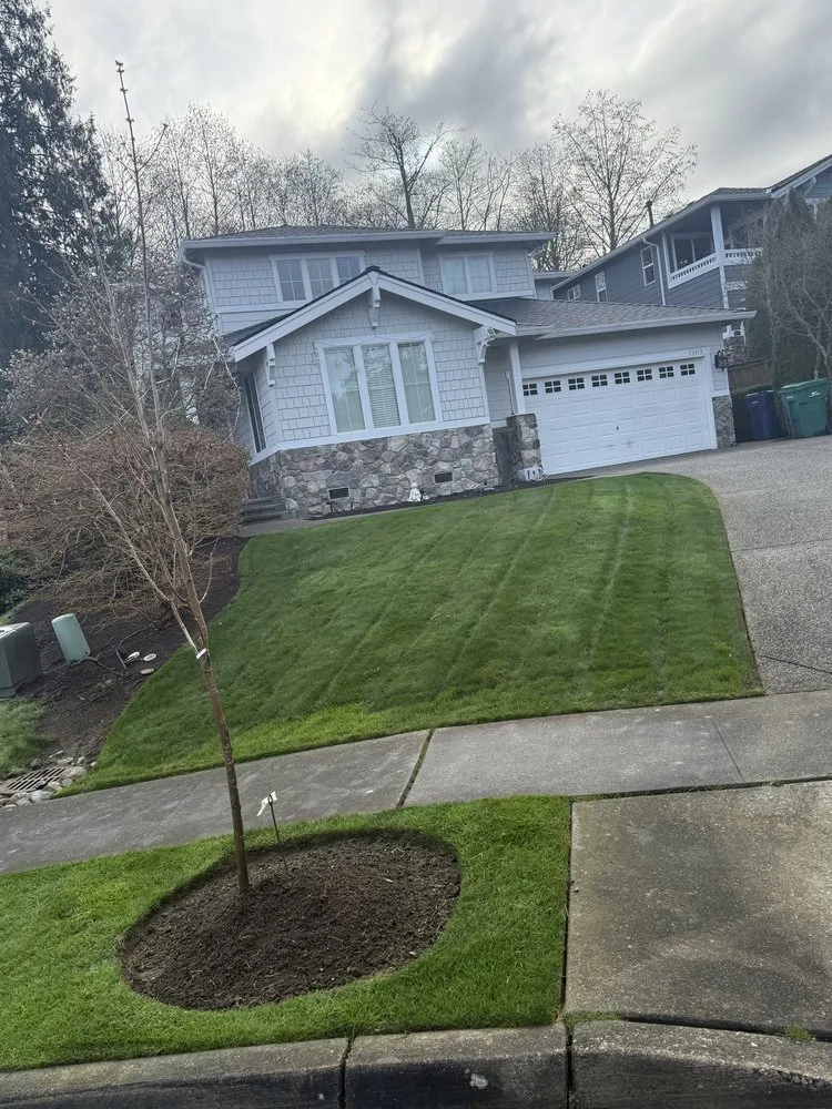Expert lawn mowing service experts serving Everett, WA - Compass Landscaping