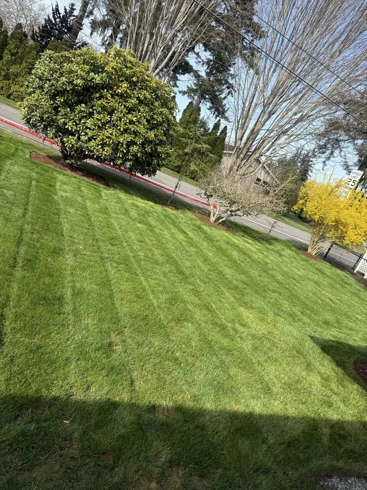Custom outdoor landscaping experts serving Everett, WA - Compass Landscaping