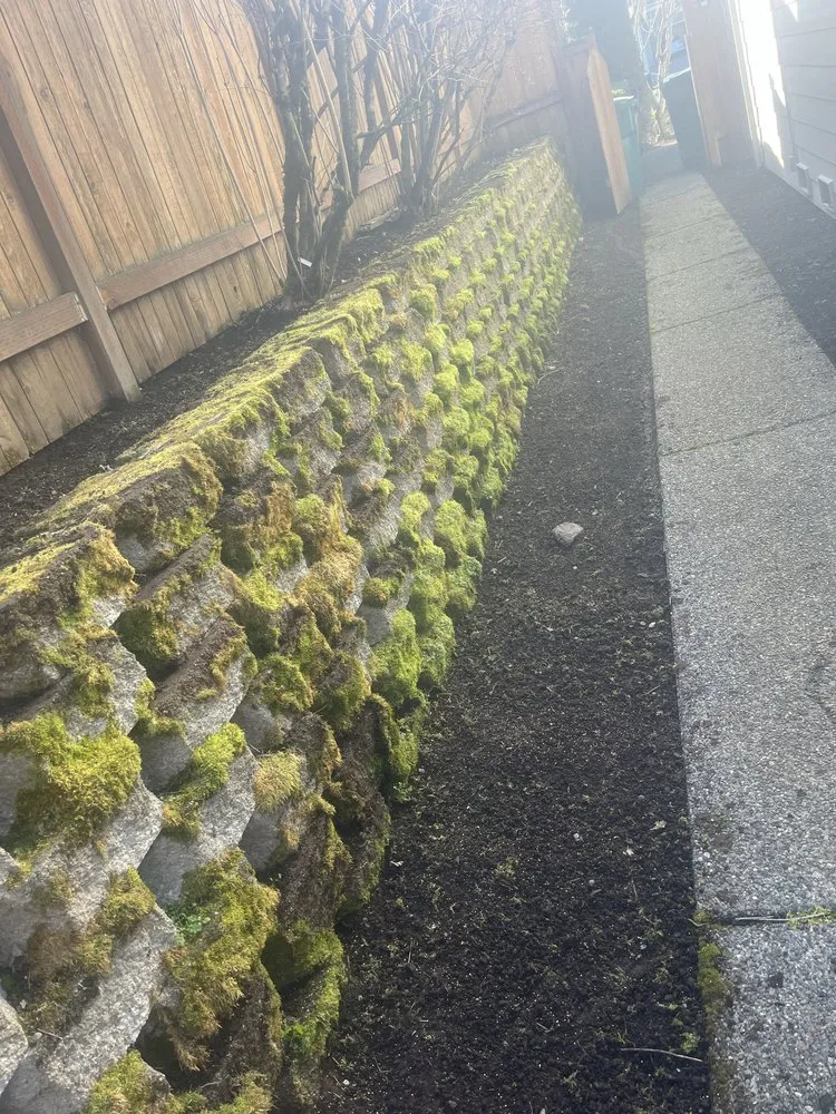 Professional lawn care service near you in Everett, WA by Compass Landscaping
