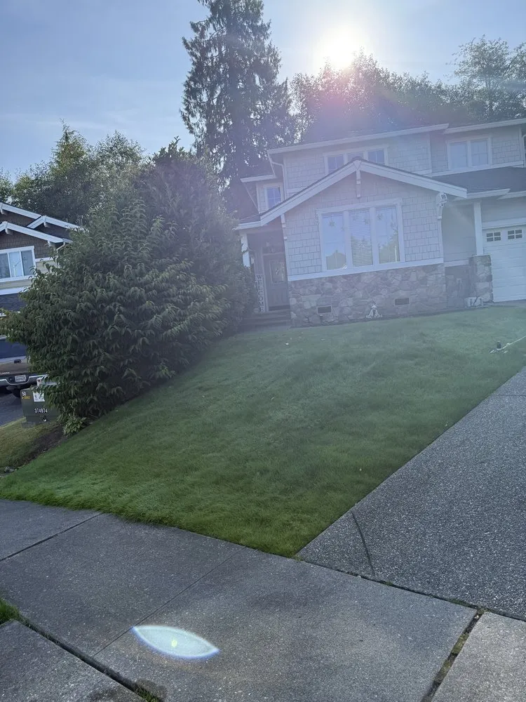 Expert landscape design experts serving Everett, WA - Compass Landscaping