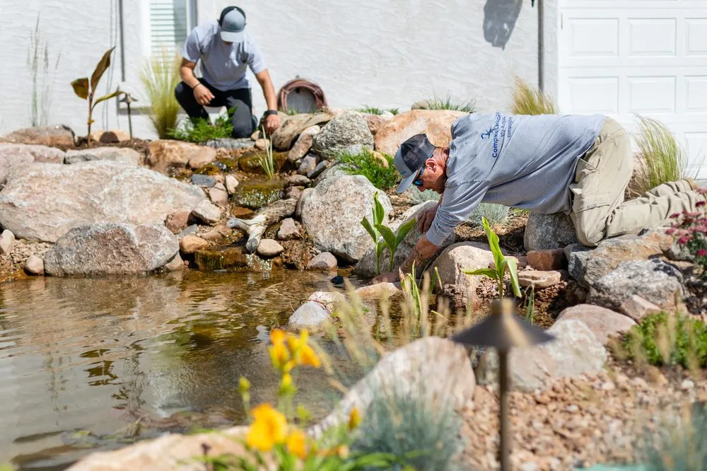 Expert yard maintenance in Grand Junction, CO by Compass Landscaping