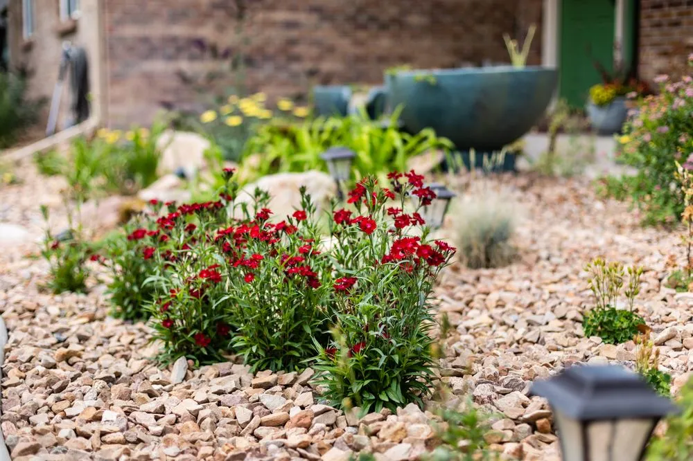 Affordable lawn care service experts serving Grand Junction, CO - Compass Landscaping
