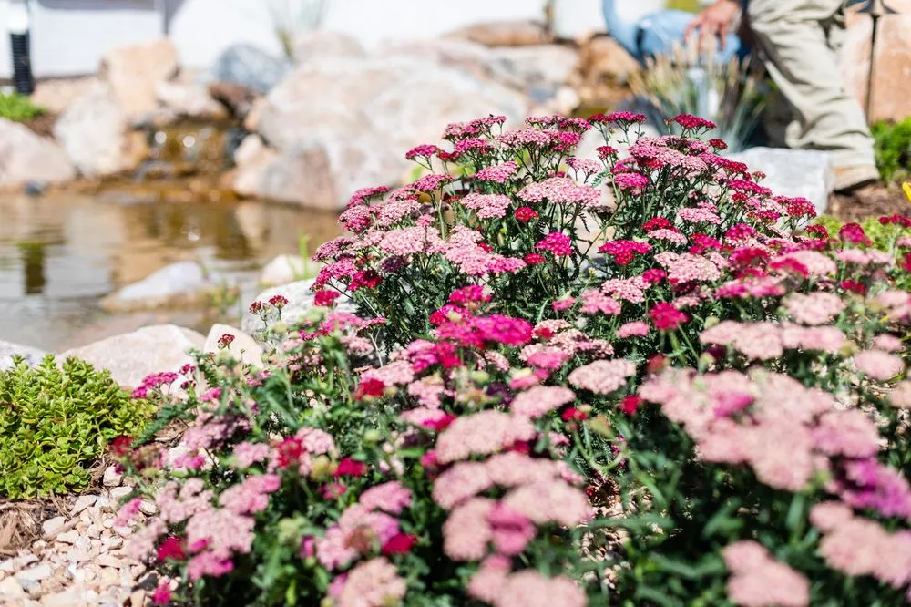 Trusted garden landscaping for residential properties across Grand Junction, CO - Compass Landscaping