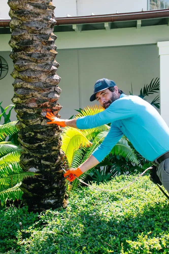 Top-rated lawn mowing service for year-round maintenance across Vero Beach, FL - Compass Pest Control