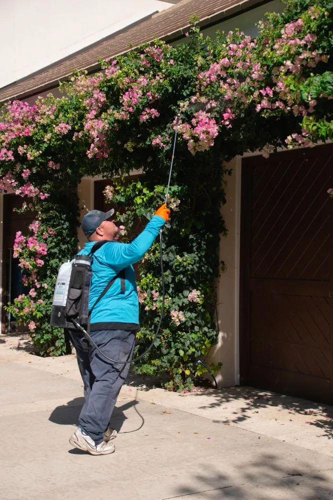 Custom landscape installation experts serving Vero Beach, FL - Compass Pest Control