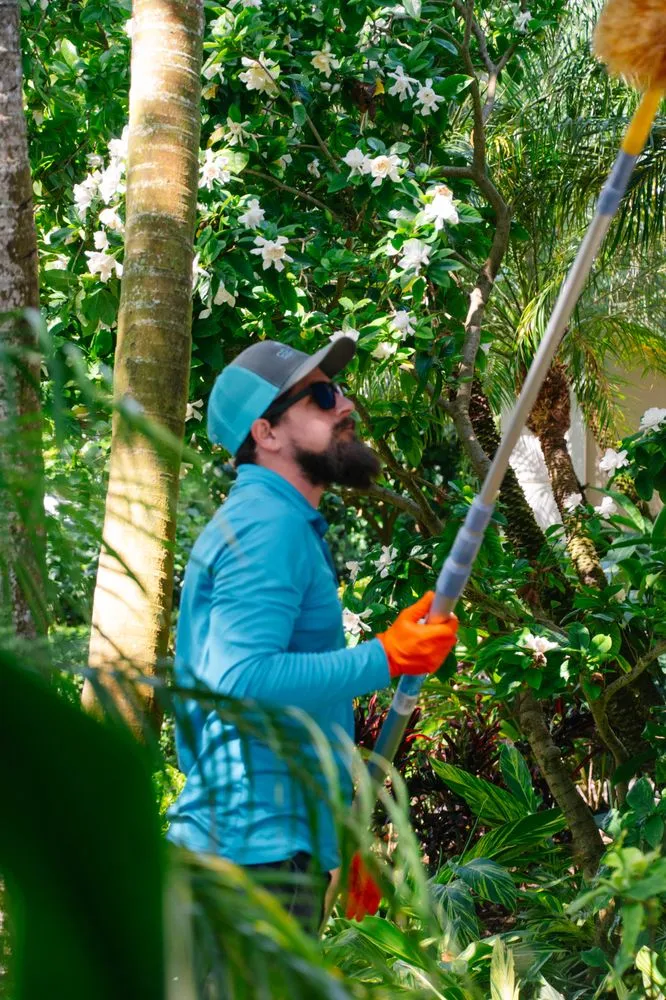 Affordable yard maintenance for outdoor upgrades across Vero Beach, FL - Compass Pest Control