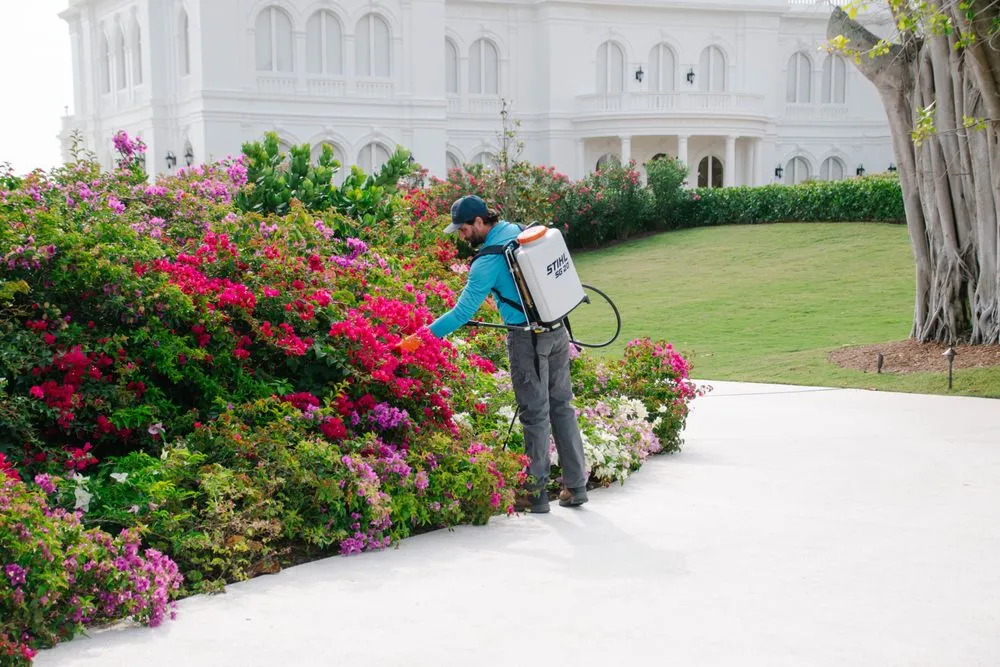 Reliable outdoor landscaping for year-round maintenance across Vero Beach, FL - Compass Pest Control