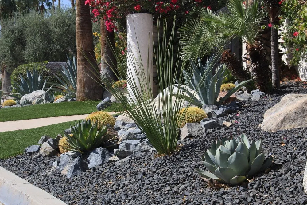 Professional landscaping services in Palm Springs, CA - Competition Green Landscape