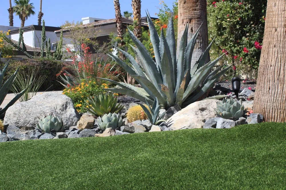 Professional yard cleanup service experts serving Palm Springs, CA - Competition Green Landscape