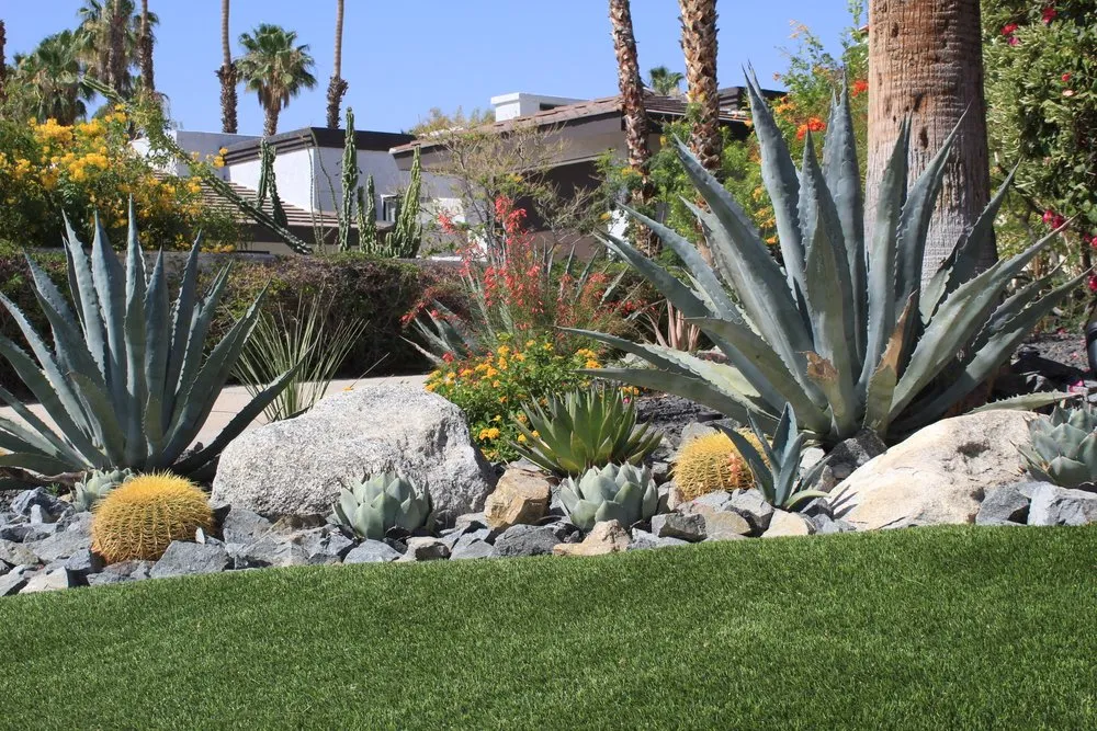 Top-rated yard maintenance for homes in Palm Springs, CA by Competition Green Landscape