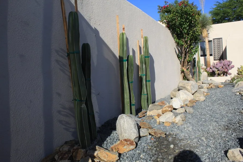 Custom landscaping services for outdoor upgrades in Palm Springs, CA by Competition Green Landscape