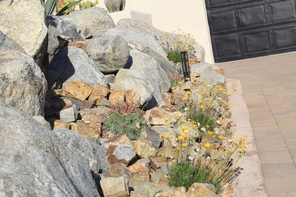 Reliable yard maintenance in Palm Springs, CA - Competition Green Landscape